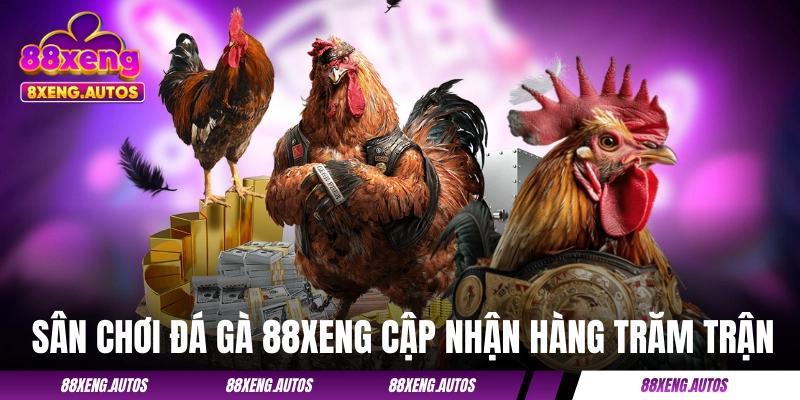 Sân chơi đá gà của 88XENG cập nhật hàng trăm trận