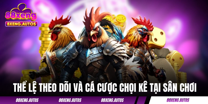 Thể lệ theo dõi và cá cược chọi kê tại sân chơi